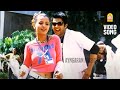 Aarya Aarya HD Video Song ஆரியா Aarya Movie Madhavan Bhavna Mani Sharma