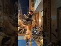 Mera Malik Hai Shivay Viral Song Mahadev Status Mai Das Usi Ka Hu Mera Malik Hai Shivay