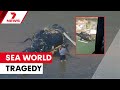 New Video Of Sea World Helicopter Disaster Released At Inquest Into Gold Coast Tragedy 7NEWS