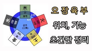 오장육부가 어디인지, 뭘 하는지 알고 계신가요?