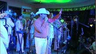 Laberinto - Caballo del Pantanal  LO NUEVO!!!!