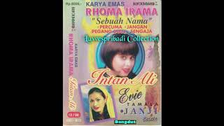 Download lagu Sengaja Voc Intan Ali mp3 Download lagu Sengaja Voc Intan Ali mp3
