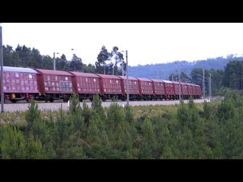 Comboio n.º 50303 - Casal da Silva