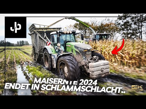 Maize 2024 🌽 Mud fight in Denmark! || JP Agrar