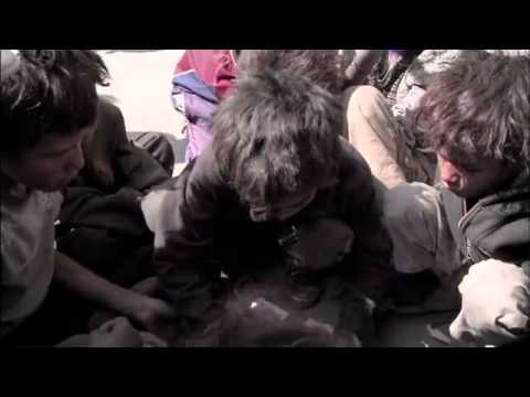 Kleine Wölfe / Lonely Pack Documentary Trailer by Justin Peach