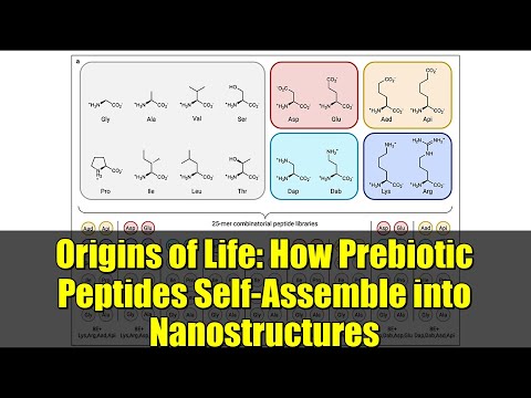 Origins of Life: How Prebiotic Peptides Self-Assemble into Nanostructures
