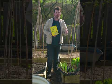 HuwsNursery's Big Day: Grow Food & UK Permaculture!