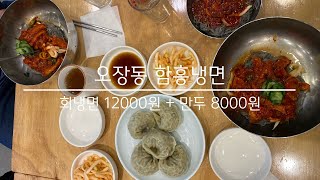 오장동함흥냉면 - 회냉면 12000원 + 만두 8000원