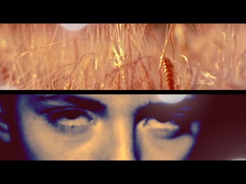 Tony Byker - 'Dreamer' (Raphie Remix Feat. i$œld€)  [withLyrics]