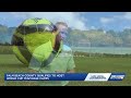 Palm Beach Gardens Boca Raton Could Host World Cup Team Training