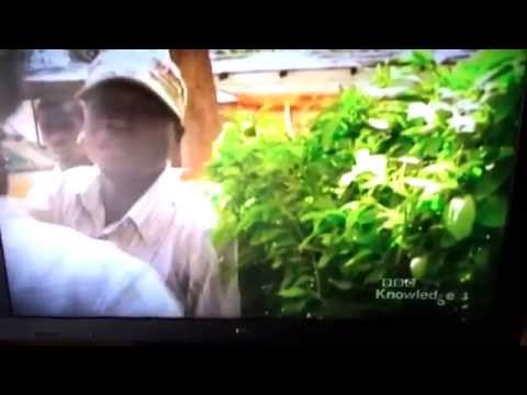 Wynoś się stąd, Zimbabwe nie jest dla białych!