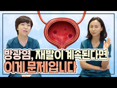 방광염, 방심하면 100% 재발된다??(방광염의 모든 것)