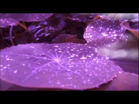 Mono Poly - Purple Rain (Original Mix)