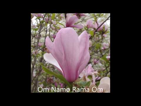 download lagu mp3 mp4 Om Namo Rama Om, download lagu Om Namo Rama Om gratis, unduh video klip Om Namo Rama Om