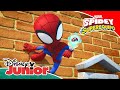 Marvel Spidey y su Superequipo: Spidersorpresa | Disney Junior Oficial