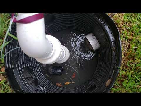 Backyard drainage pump
