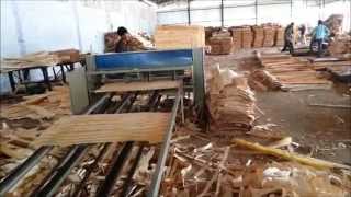 preview picture of video 'Spindleless Log Peeling Veneer Production Line (JAMUNA ENGINEERING COMPANY +91-9896015530)'