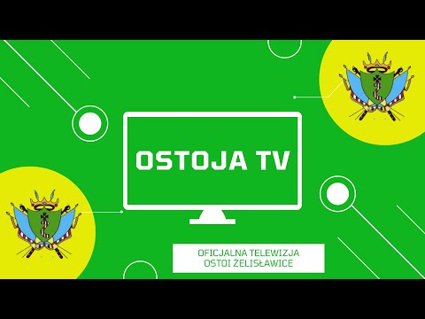 MECZ DERBOWY: Niwy Brudzowice - Ostoja Żelisławice (wyjściowy skład)