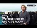 Pieter heeft een bijzondere bedding (met pieren) voor zijn koeien | RTV Oost