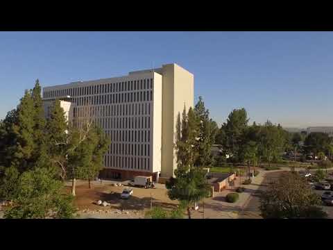 Soaring Over Csuf