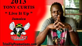 NEW Tony Curtis 2013 - Live It Up