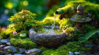 10 Hours Beside a Tiny Forest Fountain 🌿 Gentle Nature Music for a Quiet Reset