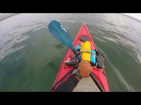 Kayak Isla Santa María Península de Mejillones Antofagasta 