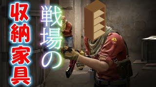 【CSGO】収納家具は戦場へ行く(MG2