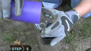 How to Make an Ant Farm