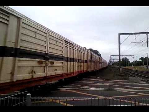 Australian Locomotives - SCT - MP9