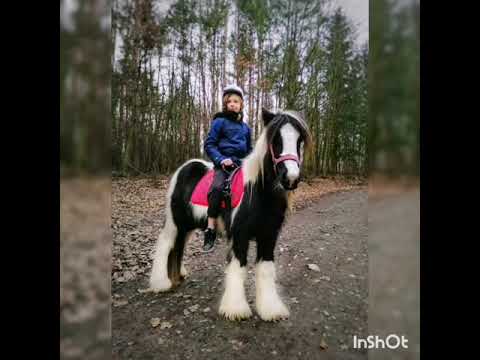 Maringotka v údolí - zažijte romantickou noc pod hvězdami