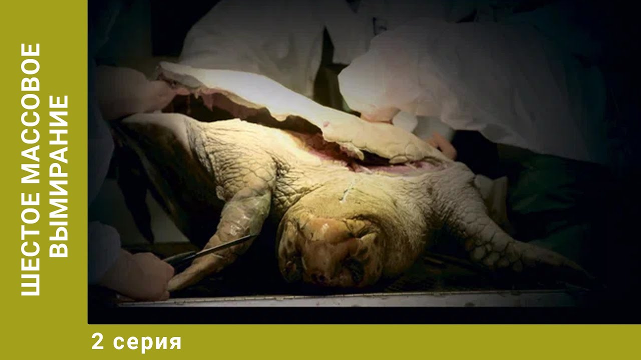 Шестое массовое вымирание. 2 Серия. Документальный Проект. Лучшие сериалы