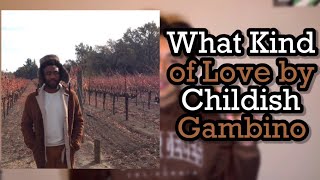 What Kind of Love - Childish Gambino Review | DAY 105