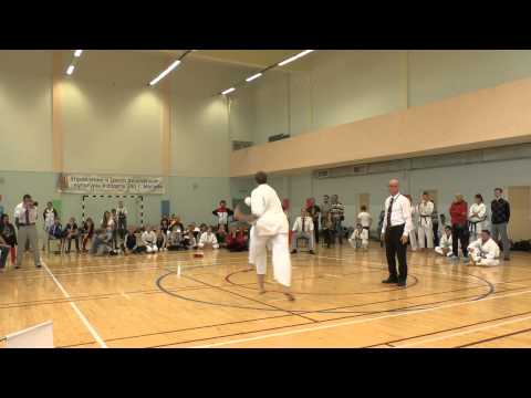 Чемпионат Европы по каратэ JKA 2014 ноябрь