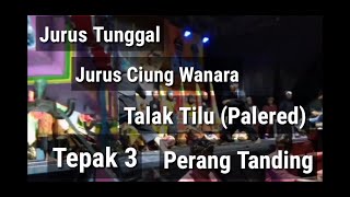 Download lagu Safari Budaya kab. Pangandaran || kec. Padaherang || Pencak Silat mp3