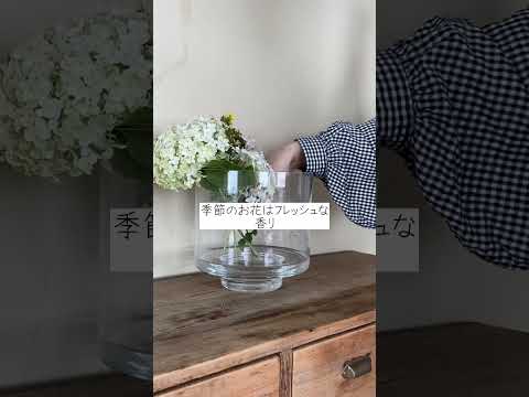 芳香植物-キッチンアイデア-ガーデン-タイム