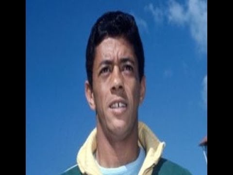 Amarildo Tavares da Silveira | Skills and Goals