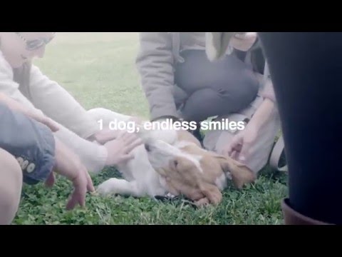 Hush Puppies - How do you say "happy"?