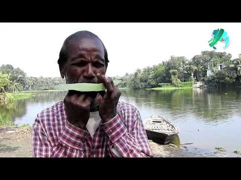 সত্য বিশ্বাসের পাতার বাঁশির সুরে সবাই মুগ্ধ