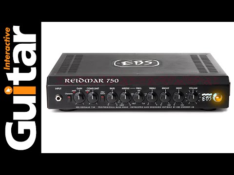 EBS Reidmar 750-Watt Bass Head 2010s - Black image 10