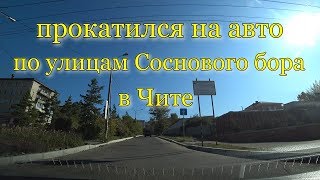 Весь сосновый бор кооператив рыболовецкий колхоз