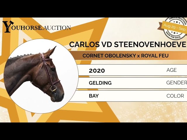 Carlos vd Steenovenhoeve Z homevideo