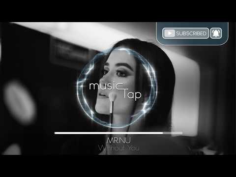 Mr. Nu - Without You