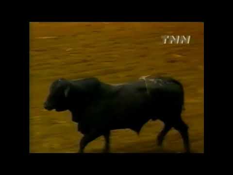 Nine-O bucks Ty Murray - 00 PBR Odessa