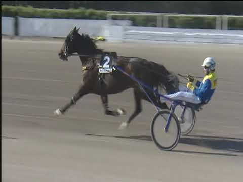 Trotto 14/04/2019 - 7ª corsa - Trofeo Campili - Race Off