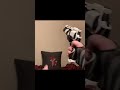 Bad Reupload 59