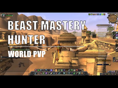BM Hunter | 8.3 World PVP