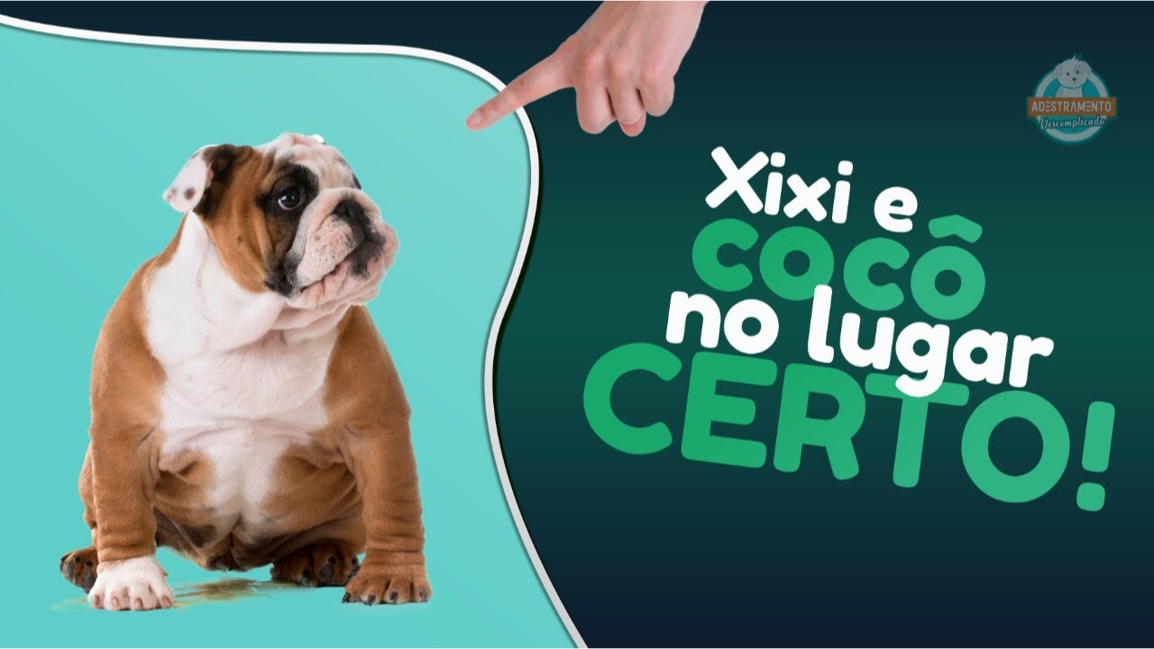 Xixi e Cocô No Lugar Certo (ensinando passo a passo)