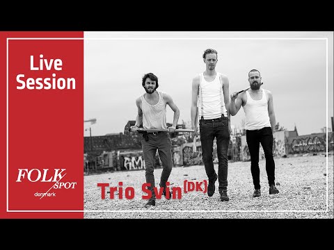 FOLK SPOT Live Session // Trio Svin