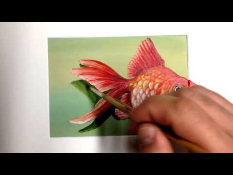 best 3d art illusion painting gold fish by eka peradze